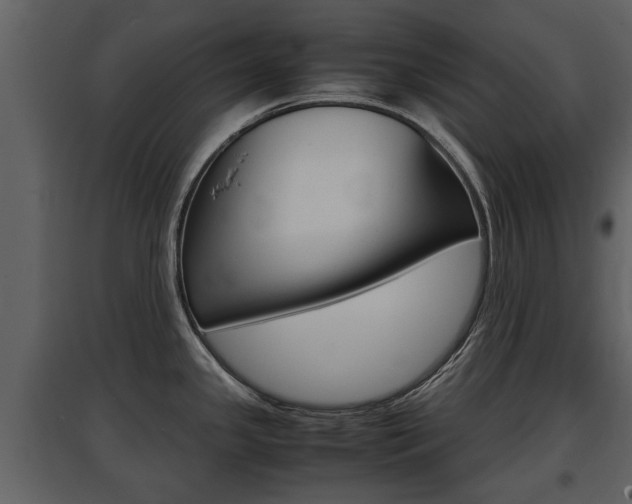 X0000097841341200803140826