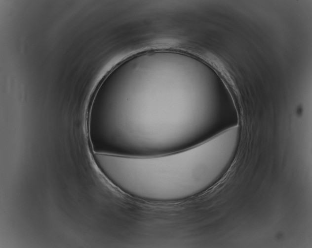 X0000097841342200803140826