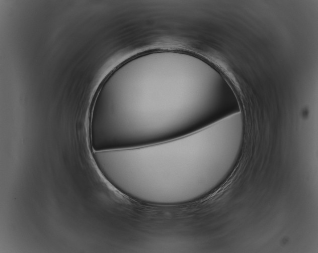 X0000097841343200803140826