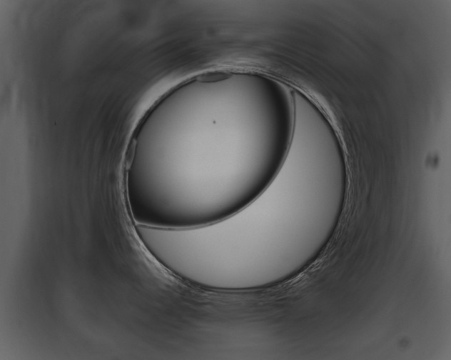 X0000097841344200803140826