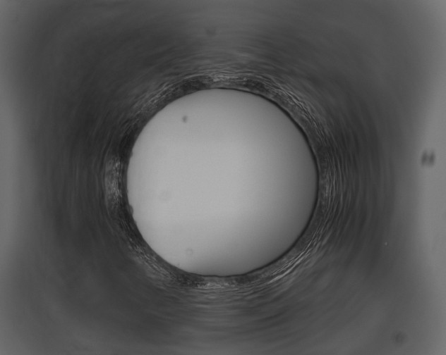 X0000097841346200803140825