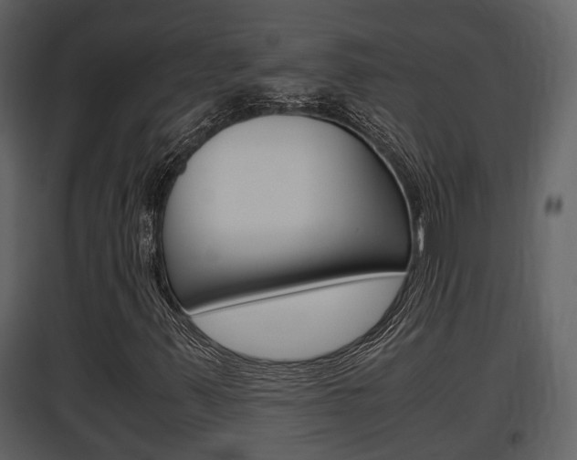 X0000097841347200803140825