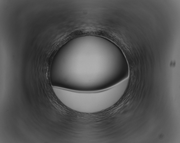 X0000097841348200803140825