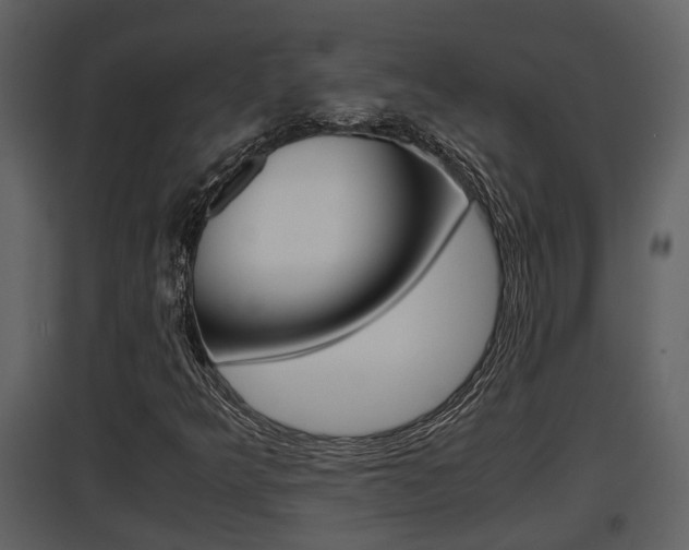 X0000097841349200803140825