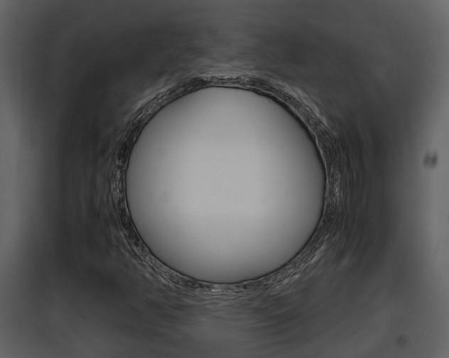 X0000097841350200803140825