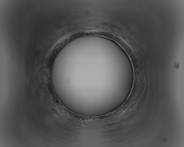 X0000097841351200803140825
