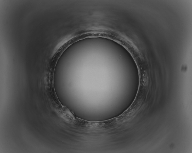 X0000097841352200803140825
