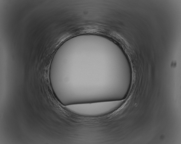 X0000097841353200803140825