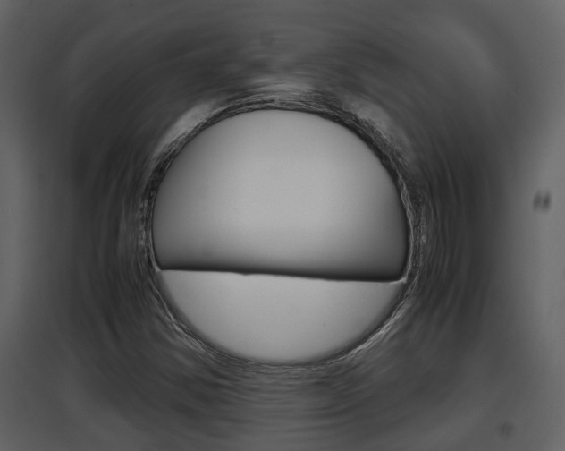 X0000097841354200803140825