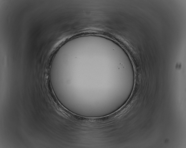 X0000097841355200803140825