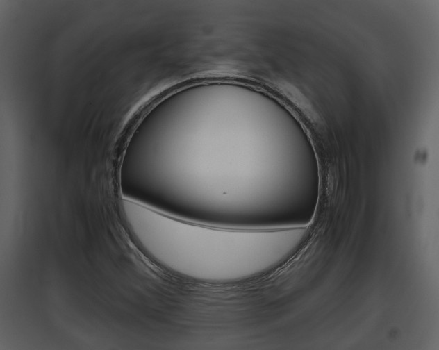 X0000097841356200803140825