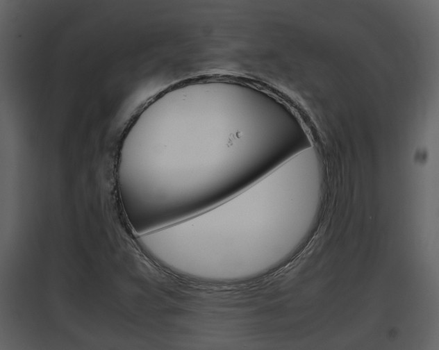 X0000097841359200803140825