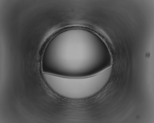 X0000097841360200803140825