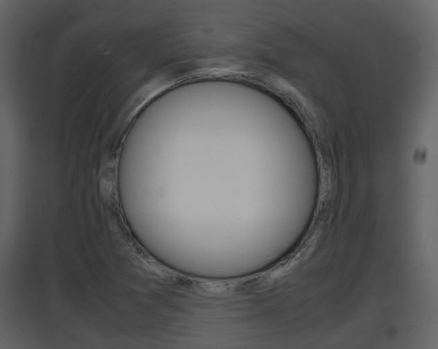 X0000097841361200803140825