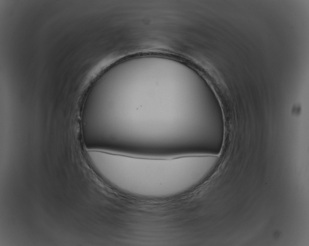 X0000097841363200803140825