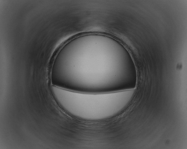 X0000097841364200803140825
