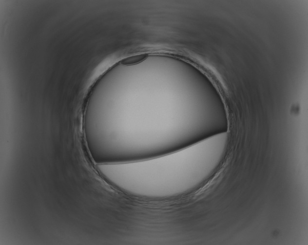 X0000097841365200803140825