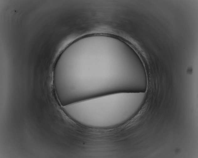 X0000097841366200803140825