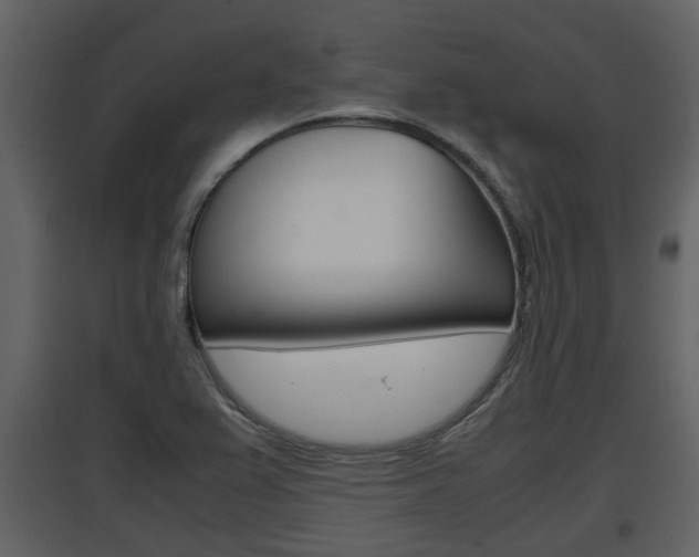 X0000097841367200803140825
