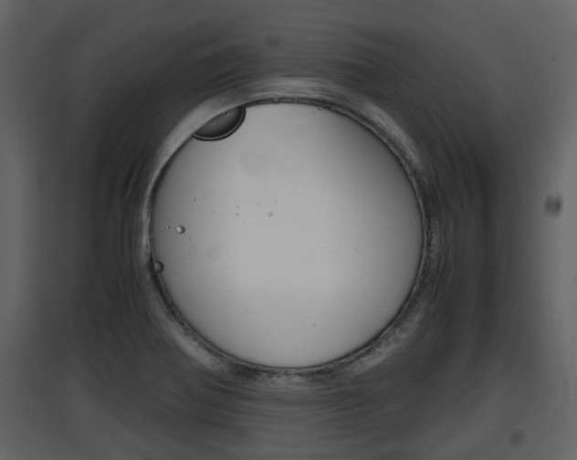 X0000097841370200803140825