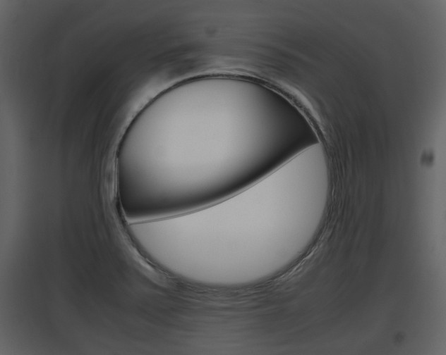 X0000097841371200803140825