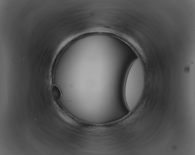X0000097841372200803140825