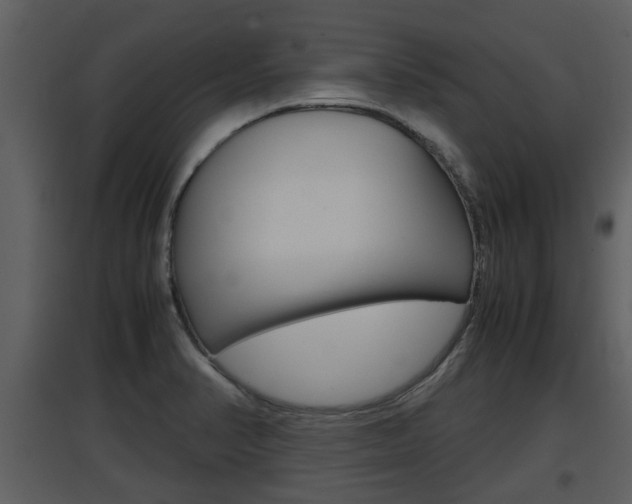 X0000097841374200803140825