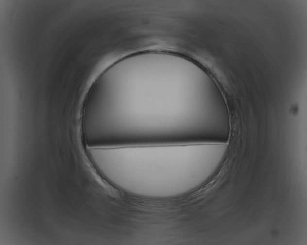 X0000097841375200803140825