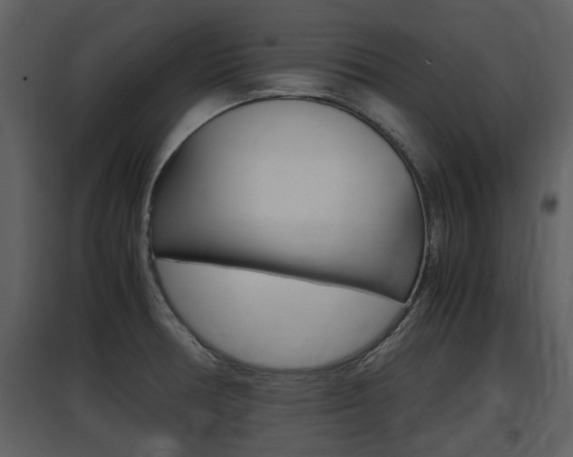 X0000097841378200803140825