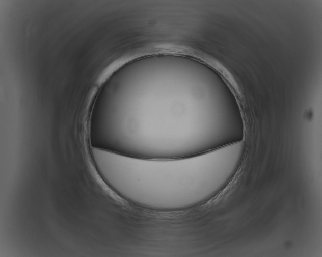 X0000097841381200803140825
