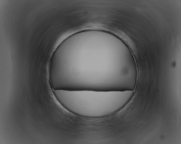 X0000097841382200803140825