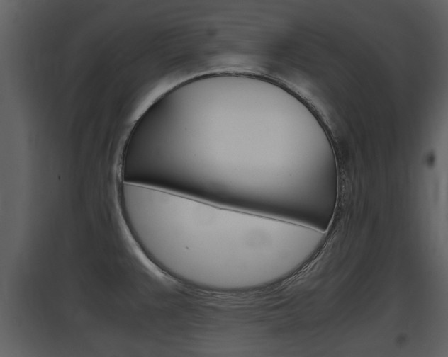 X0000097841383200803140825