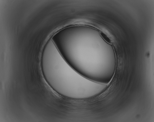 X0000097841384200803140825