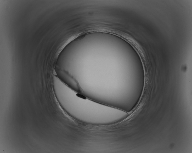X0000097841385200803140825