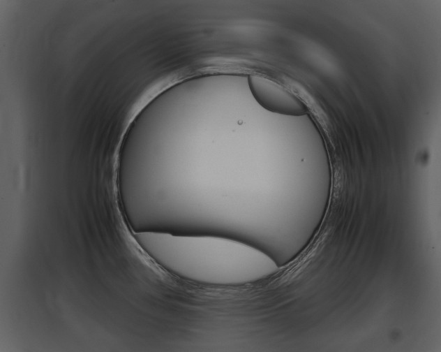 X0000097841386200803140825