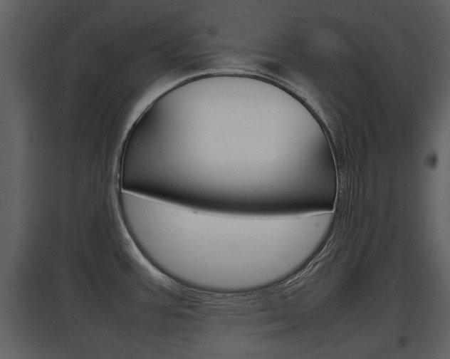 X0000097841387200803140825
