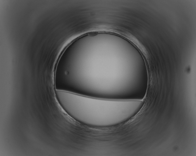 X0000097841388200803140825