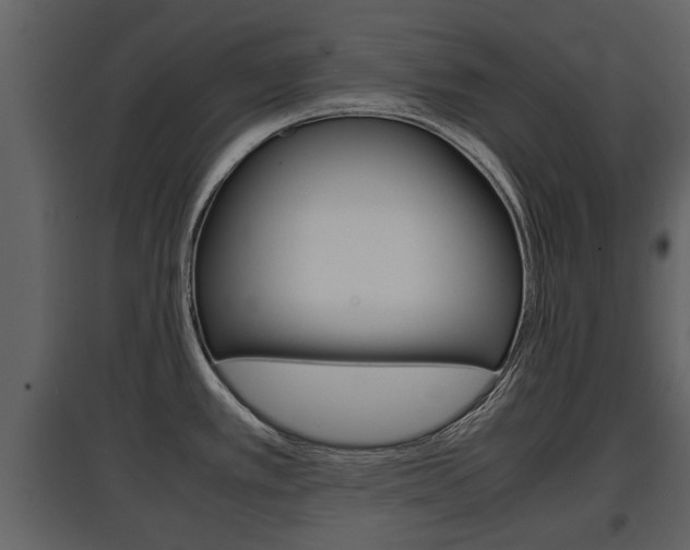 X0000097841389200803140825