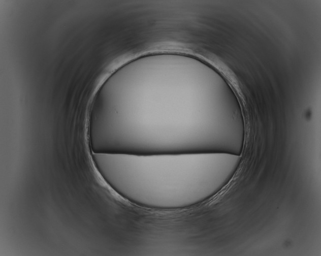 X0000097841390200803140825
