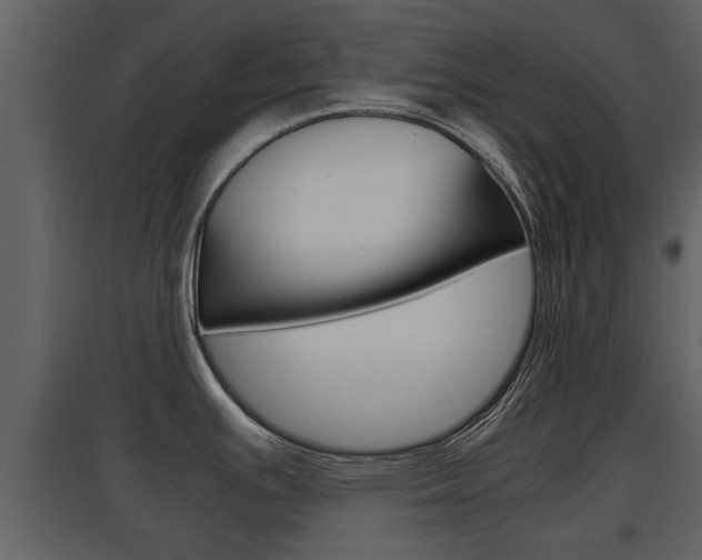 X0000097841391200803140825