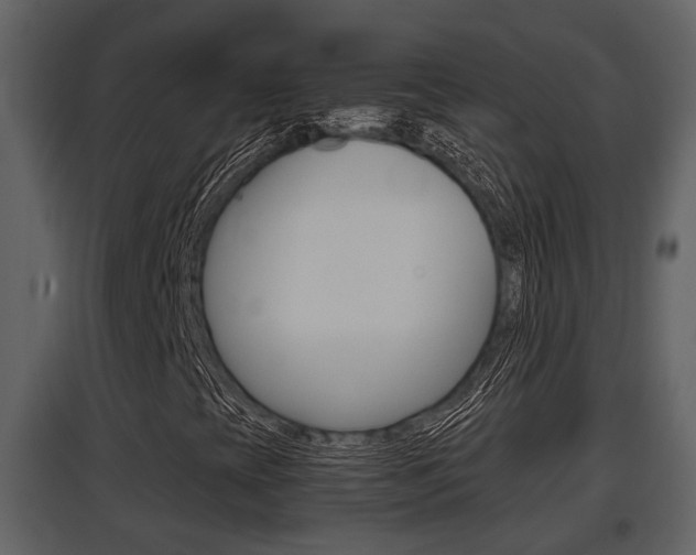 X0000097841393200803140824