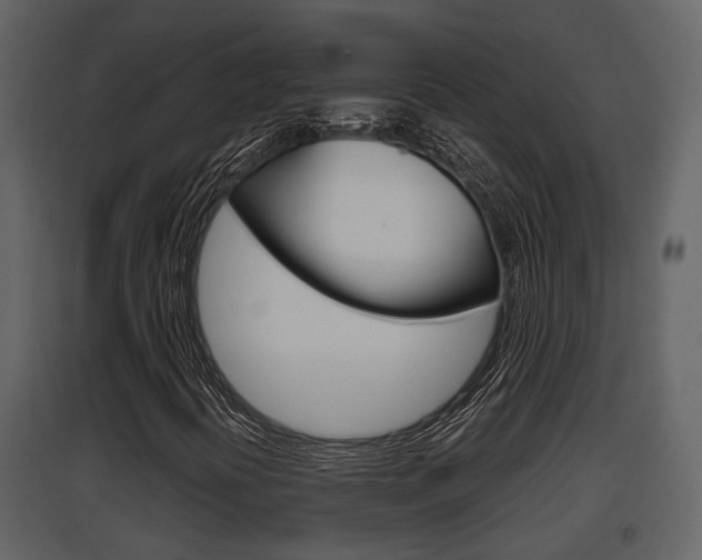 X0000097841394200803140824