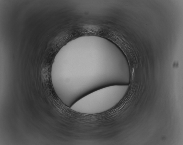X0000097841395200803140824