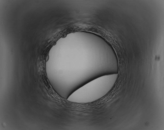 X0000097841397200803140824