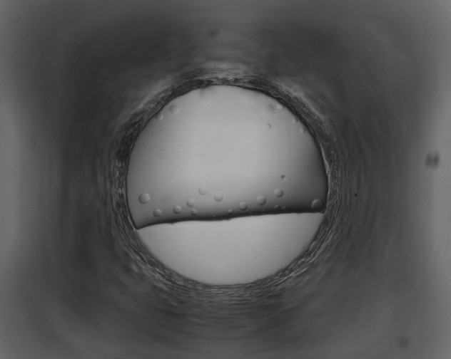 X0000097841399200803140824