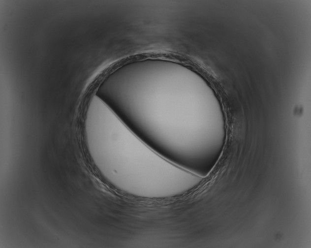 X0000097841400200803140824