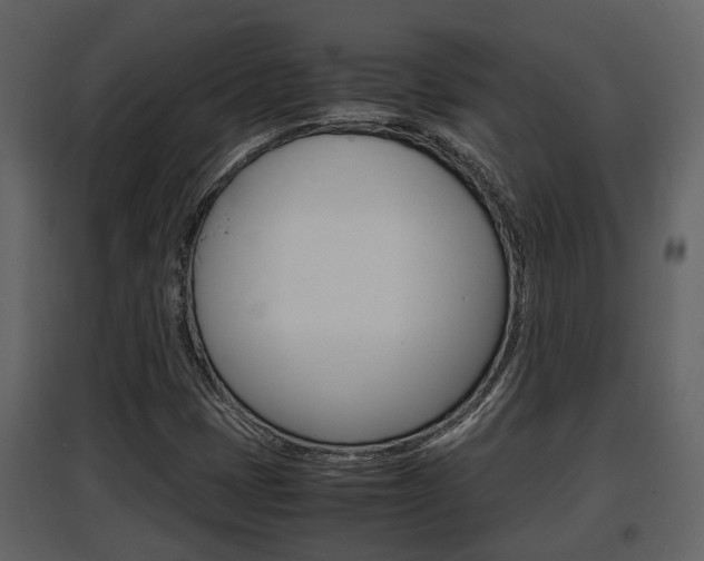 X0000097841401200803140824