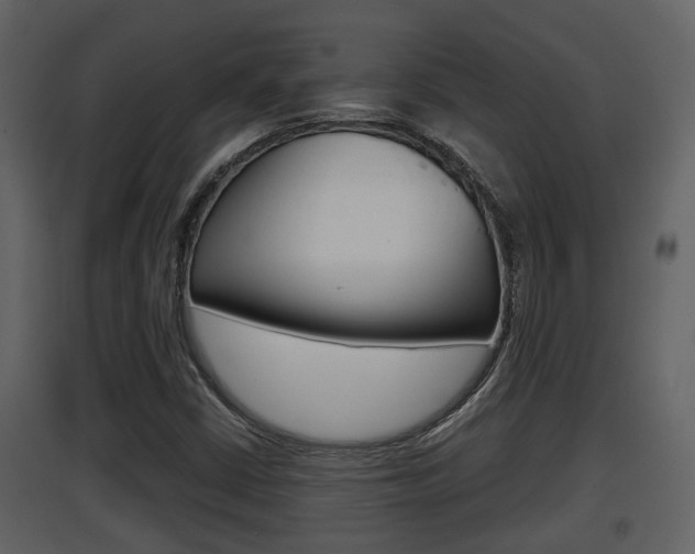 X0000097841402200803140824