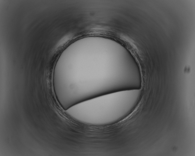 X0000097841403200803140824