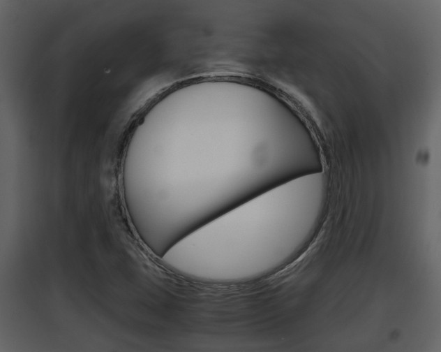 X0000097841407200803140824